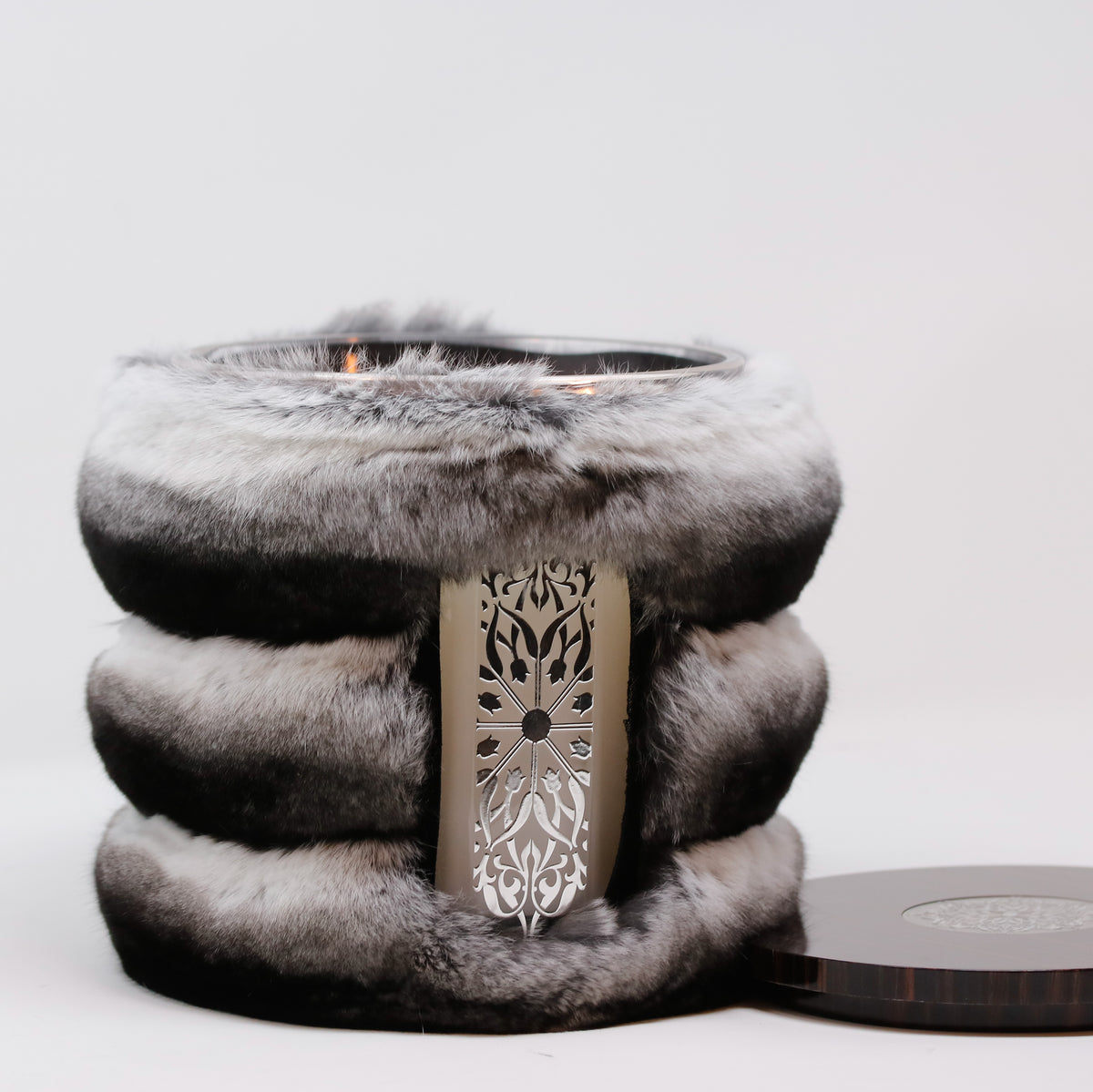 Chinchilla Involutus Thompson Ferrier