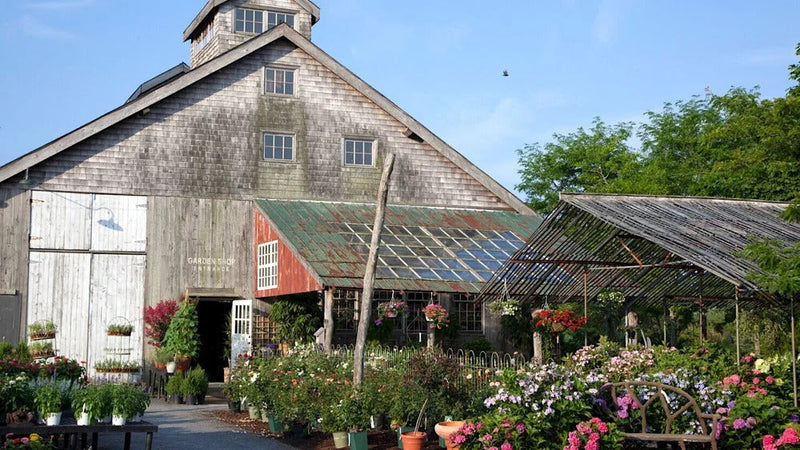 Best Nursery in the Hamptons: Why Marders in Bridgehampton Feels Different