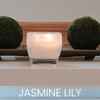 Jasmine Lily - 0011