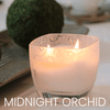 Midnight Orchid - 0011