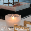 Orange Blossom - 0011