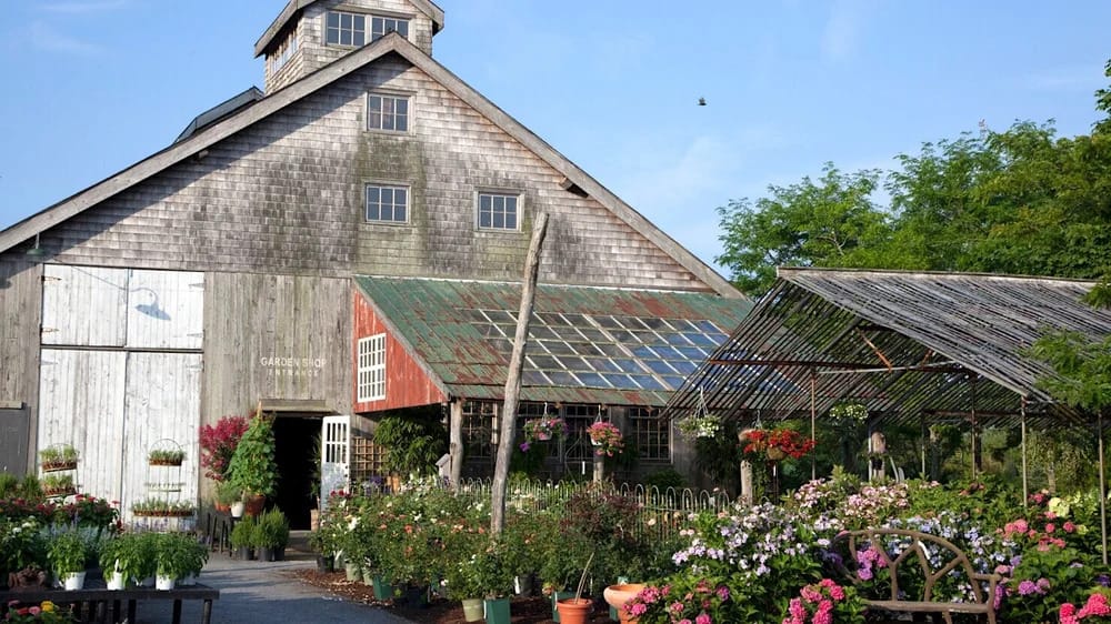 Best Nursery in the Hamptons: Why Marders in Bridgehampton Feels Different
