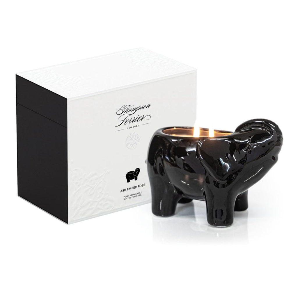 black elephant candle with decorative box